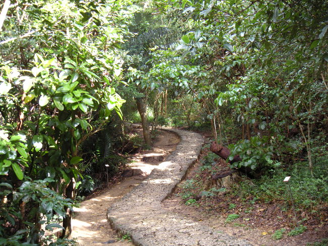 蛙の声があちこちから聞えるものの．．．姿は見えず。イモリはやたらいて、ウキウキ♪