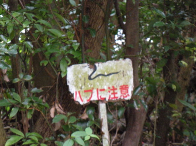 こんなトコにもいるんだな．．．