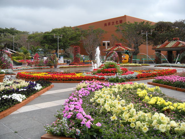 国営沖縄記念公園<br />花祭り開催中♪