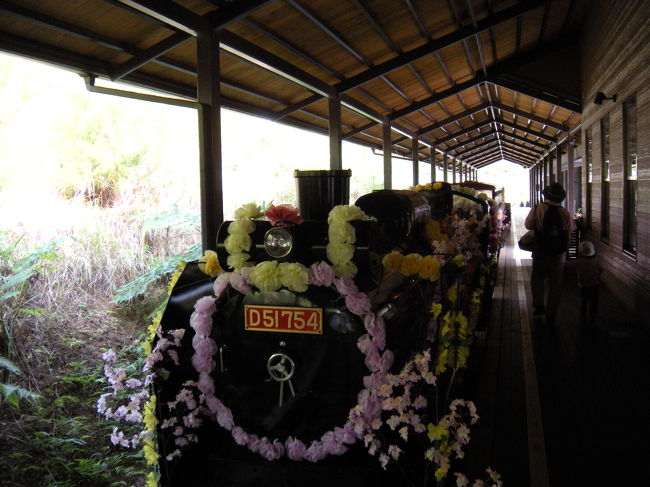 ネオパーク･オキナワの園内をガイドアナウンス付きでぐるりとまわる列車。<br />園内を歩く前に乗るのがお勧めかな。