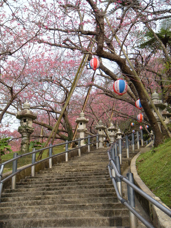 春を先取りっ!!