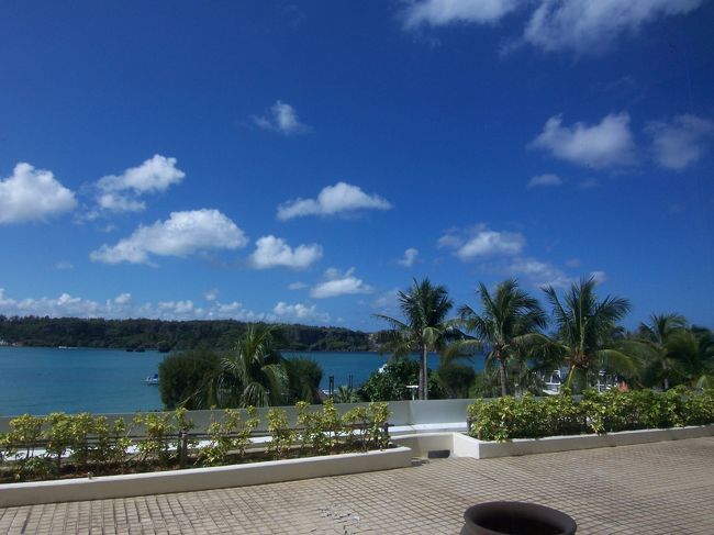 特に買い物はしませんでしたが、チェックできて良かったです。<br />化粧品は国内なので海外よりは高いですが、ジュエリーは安い物と高い物に分かれます。<br /><br />お昼はDFS内でとりました。お味は・・・。<br />駅近にどこかあればそっちがよかったかも。