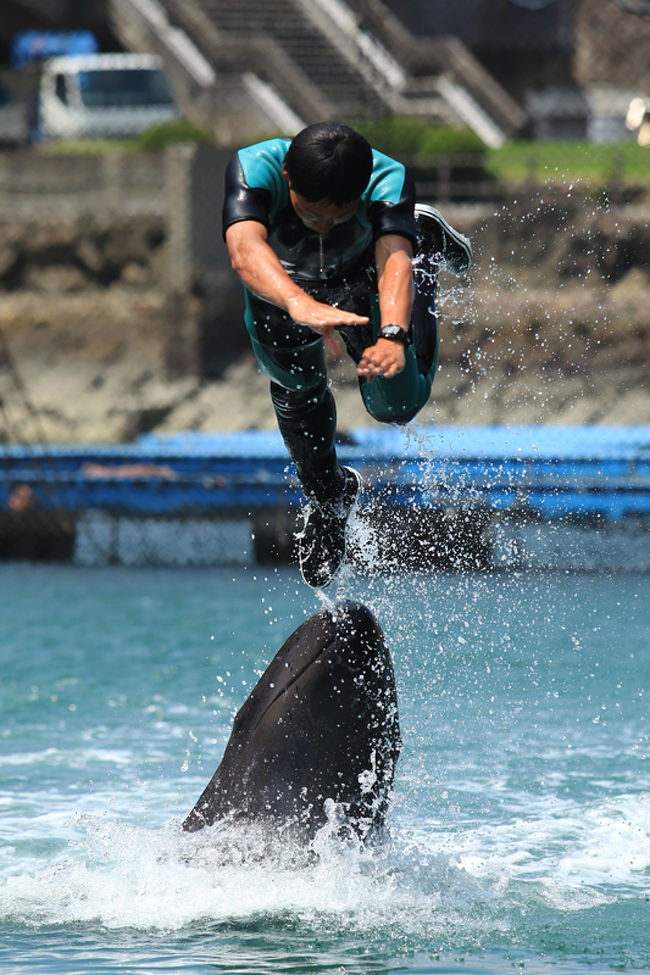 太地町立 くじらの博物館でシャチのショー 子どもとお出かけ 和歌山県 那智勝浦 太地 和歌山県 の旅行記 ブログ By Kuropisoさん フォートラベル