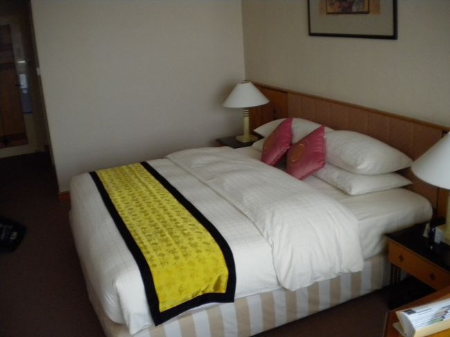 ハノイ　ノイバイ空港から市内のホテルへ。<br />空港から市内へはタクシーで$15。<br /><br />ボラレもせず、安全な移動手段です。<br /><br />日本でアメックスさんにお願いしたメリアハノイさんへチェックイン。<br />さすがアメックスさん。<br />きれいなお部屋です。<br /><br />まずは仮眠です。