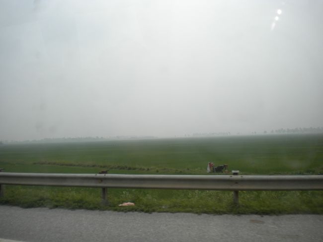 さて、3日目。<br />今回の目的のハロン湾へ向かいます。<br /><br />自力で向かおうかと思ったのですが、<br />効率が悪かったり、面倒くさそうだったので日本から現地ツアーを手配。<br /><br />4000円だったので、まぁいいやと。申込。<br /><br />移動中、こんな景色が続きます。