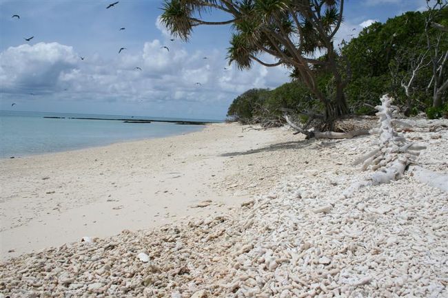 海きれ〜。でもなんか鳥がおおいなあ。
