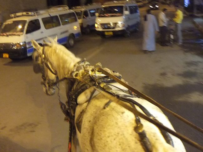 適当に手綱を引いてみると、馬が暴れだしました。お兄さんがムチで背中を打ってコントロールします。打ち方が激しすぎます。あとは世間話をしながら適当にルクソールの町を回ります。そうこうしているうちに時間になりました。もとの場所に降ろされます。争っても仕方がないし、馬車をとりまとめている親分に金を払います。何となく悔しいです。でも、レストランでコーラを頼むだけで３ドルなのですから４ドルは高くありません。アラビア語のレッスンもしてもらったし（会話は基本的に英語ですが、集中勉強してきた片言のアラビア語も交えました）。この親分に一緒にウィンターパレスホテルの前まで来てもらい、バスが来るまで待たせました。シャトルバスはちゃんと１９時１５分に来ました。側面にソフィテル・カルナックと書いてあるので間違いありません。乗ります。バスは出発の１９時３０分まで１５分間もそこに停車していました。もっと遅く来ていれば、迷わずに済んだのですね。なお、同じツアーで同じようにバスを途中下車したお二人は、馬車に乗ってルクソール博物館へ行き（その間待っていてくれたそうです）、その後ソフィテル・カルナックまで行って１１ドルだったそうで、彼らは悪徳業者でもなさそうです。シャトルバスは順調にホテルへ行きました。他の人に続いてホテルの敷地に入る前で降ろしてもらい、すぐ近くの店でミネラルウォーターを買って帰ります。