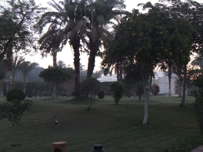 部屋から見えていた中庭よりもっと大きな庭がありました。この庭の向こうの方に歩いていくと、