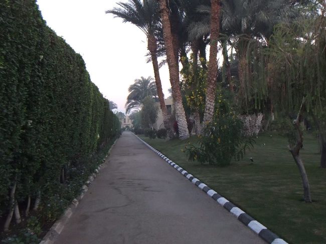 このような遊歩道がありました。ここで警備員のおじさんに挨拶して、片言のアラビア語を交えて（知っている言葉を並べただけです）簡単な会話を交わしました。この道をまっすぐ行くとナイル川があると教えてくれたので行ってみると、