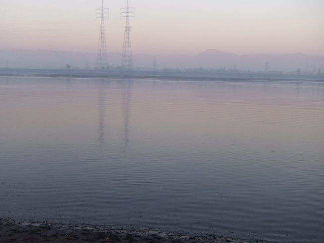 ナイル川の向こう岸が見渡せます。