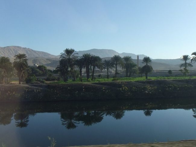 朝７時を少し回ってホテルを出発。バスの左側に座ります。今日は、アスワンまで南下します。アスワンまで距離があるので、大抵の似たようなツアーでは、途中のエドフにあるホルス神殿と、コムオンボにあるコムオンボ神殿に立ち寄ります。川のようなものが見えてきました。これはナイル川ではなく水路だそうです。向こうにナツメヤシが見えています。このあたりで、Ｔシャツの販売の案内がありました。デザインのカルトゥーシュに自分の名前を入れることができて、色やサイズを選べます。配られたカラフルな注文用紙に記入して翌日までに渡すと、旅行が終わるまでに（いつか忘れました）出来上がります。荷物になるのでわたしは買いません(非協力的なツアー客です)。