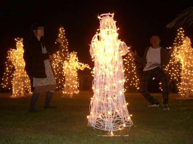 11月も下旬なのでさすがに夜は肌寒かったですが、夜遊び。