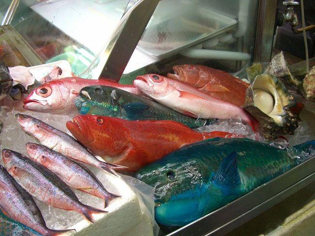 カラフルな魚も！