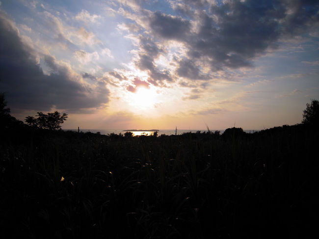 瀬底島の何にもない道から。<br />すごく落ち着くのに、なんか寂しい色の時間。