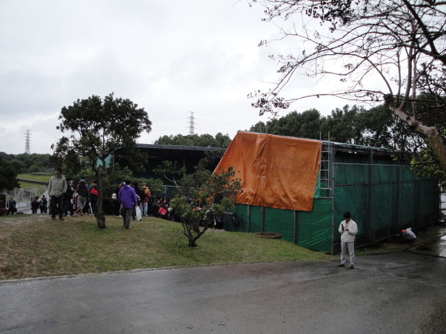 投球練習はここでおこなわれています。