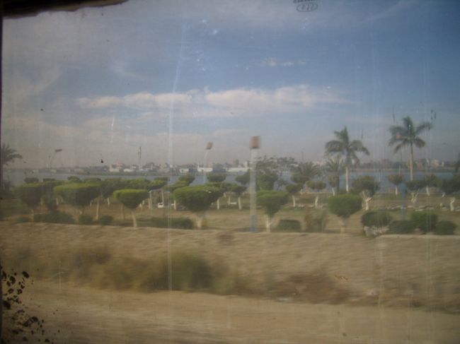 あーー!<br />あれ、ナイル川かも!!<br /><br />と、ちょっと興奮する。<br />日本にはない植物の生える景色が、<br />「あ、本当に海外に来ちゃったんだな」という気持ちにさせる。