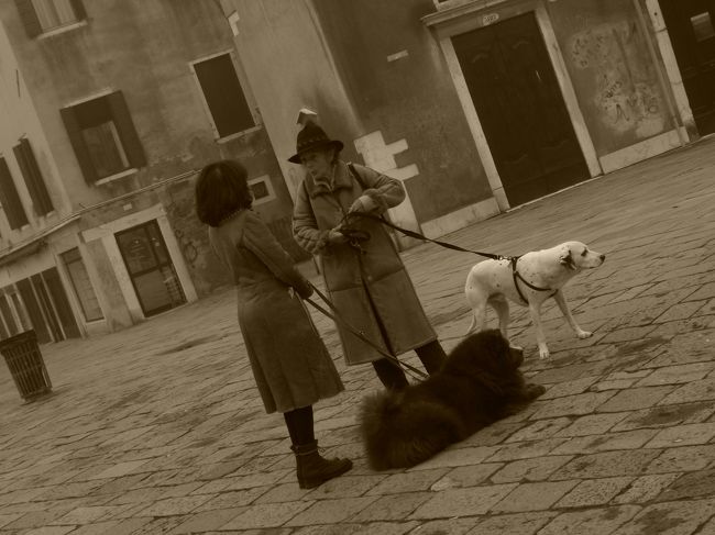 ここもワンコ多いね。