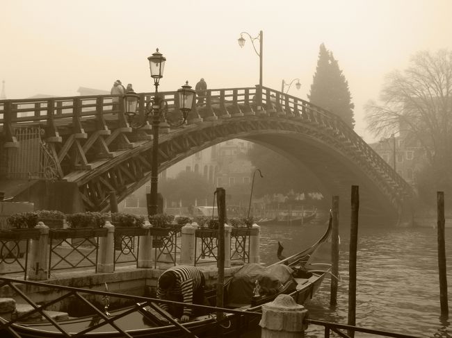 アカデミア橋を渡ってみた。