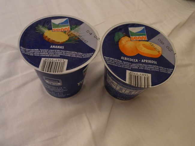 宿に戻ってヨーグルトを冷蔵庫に入れようとキッチンに行くがロックされていた、ガビーン（悲）<br />もったいないからはち切れんばかりのお腹に流し込む。<br />今日も中国人と二人っきりの夜になった。<br />携帯を充電したいけどプラグがないから貸してくれと言われ、あたしもまだ充電してないねんけどと思いつつ貸す。<br />普通、使わないか確認しませんか？<br /><br />中国も日本と同じプラグなんだってわかってビックリ。<br /><br />22時就寝。