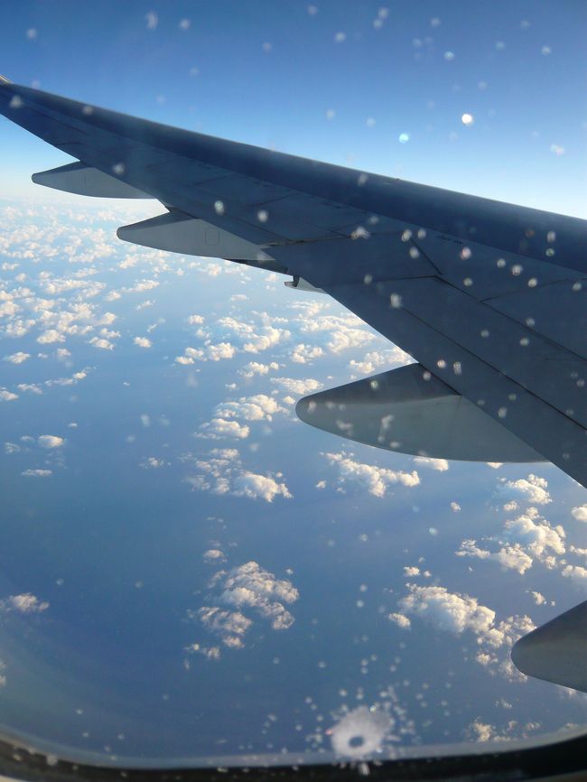 すこし仮眠を取ったら、すっかり朝に