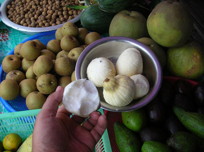 その果物屋の女の子がご馳走してくれたフルーツ。水気がなくスカスカで何だったんでしょうか？