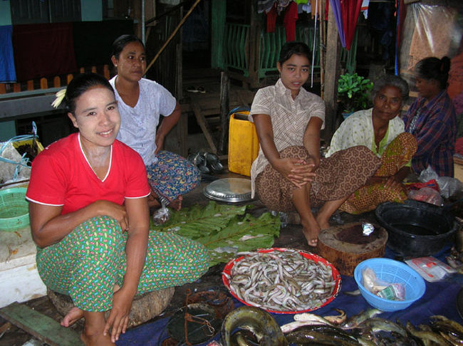 魚屋さん。<br />女性ばかりですが家族のようです。 