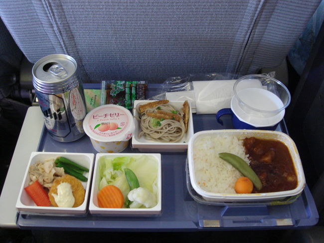 お待ちかね、機内食です。<br />この日はビーフシチューを選択。結構イケます。<br /><br />食後はモニター画面でマイケル・ジャクソンの映画「This is it」を鑑賞。マイケルの凄さに脱帽です。感動した。