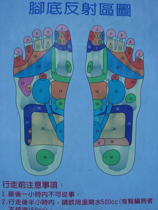 痛いポイントで体の悪い場所が分かるようですが・・・