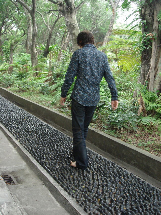 ここのは二二八和平公園のものより、EASYな気がします。
