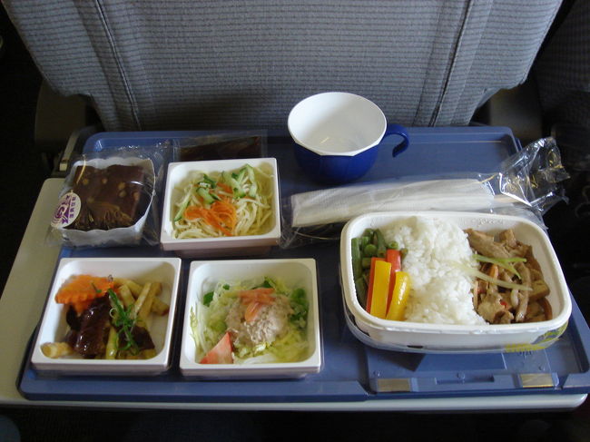 ぼくはミート・メニューです。<br /><br />こうして今回の台北旅行も無事終了しました。<br />５回も台北にいっているのに飽きる気配がまったくありません。<br />おそらく次の海外旅行も台北になりそうな予感です。<br /><br />帰ってきたばかりなのに、またすぐに行きたいな・・・。