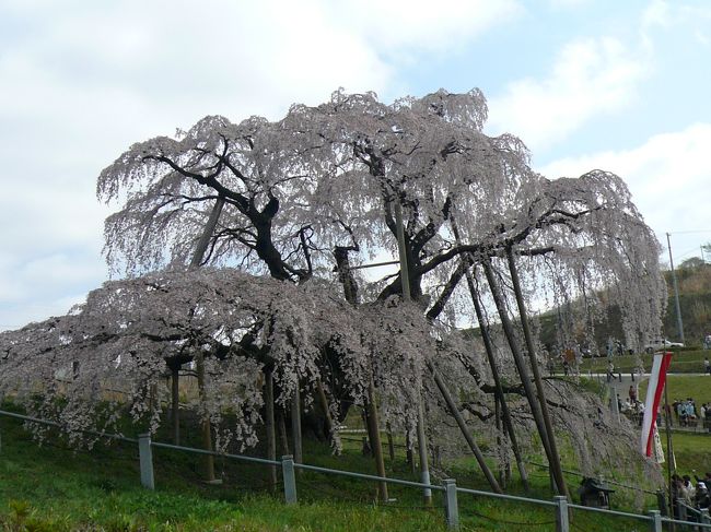 少し青空がさしてきました。