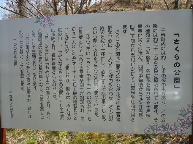 さくらの公園に来ました。