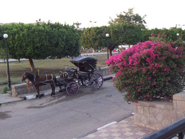 ルクソールで乗ったような馬車があります。アスワンでの自由時間がこんなにあるとは思わず、予習不足でした。この馬車でヌビア博物館にでも行っておけばよかったかもしれません（荷物を担いでいると行く気にもなりませんが）。