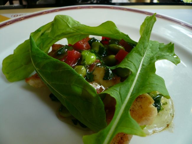 お手頃な値段で食べれる３０９を是非堪能下さい。<br /><br /><br /><br /><br /><br /><br /><br /><br /><br /><br /><br />　　　舌平目と大根のソテー　和風青菜ソース