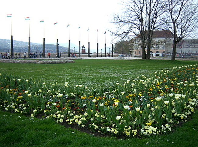 バスステーションでのここどこ迷子、Kalvin Ter駅を出てからの宿探しうろうろで若干時間を食い、荷物を置いて探索に出たのは3時15分すぎ。 <br />ステーションのインフォでもらった地図にはトラムやバスの番号も小さく記入してあるものの、まだ全くここらへんの地理がわかりません。 <br />ブダペストはドナウ川を境に西がブダ、東がペストに別れていて、街の心臓部はペスト側。私の宿もペスト側。 <br />ブダ側には王宮の丘と呼ばれる、個人的には丘というより山と呼びたい高台が広がっており、そこにブダ王宮や有名な教会が建っています。 <br />一番最初に立てたスケジュールでは、夕方6時半過ぎに電車で着く予定だったので、"くさり橋の夜景を見る"という非常に大雑把な予定しかありませんでした。 <br />バスで来たので少し見学する時間が生まれ、さてどこに行こう…と考えた末、今日はブダ側を制覇することに決定。 <br />どうせ月曜でいろいろ閉まってるけど、王宮の丘には一度は行っておかないと。 <br /><br />見切り発車気味ながら、一番手近な通りからブダ側に続くバス（112番）に乗車。 <br />あれよあれよという間にドナウ川にかかる橋を渡り、ブダ側へ。 <br />地図に載っている112番ルートをたどると、このまま乗り続けていたら王宮の丘とは全く違う方向に走って行くことがわかったので、橋を渡ったあたりで下車。 <br />そこから18番トラムに乗って、王宮の丘に近そうな場所で適当に降りてみました。 <br />全て勘で乗り降りしていたので、着いたのは王宮の丘の裏。これが大間違い。 <br />丘（というかちょっとした登山）を自力で登り切らなきゃいけないハメに。 <br />連日良い天気で気温もガンガン上がっているので、暑くて余計に体力を消耗させられます。 <br />ペストの中心部から16番バスに乗っていれば王宮の丘もバスですいすい登ってくれ、楽に行けたというのに！ <br />Deak Ferenc Ter駅付近まで行く手間をはぶいてそこらへんからバスに乗ったツケがこんなところで…。 <br />まぁ不慣れな地理の中でも無事に王宮に辿りつけたので良しとしたいです…。 <br /><br />登りきった後はぐったりしましたが、一応観光しなくちゃ。 <br />裏から来たせいか、丘を登っている間は誰にも会わなかったのに、上まで来ると観光客がうじゃうじゃ。団体ツアーのバスもいっぱい。 <br />ハンガリーの旗がずらりと並び、風になびいていて、王宮横の広場は和やかな空気。