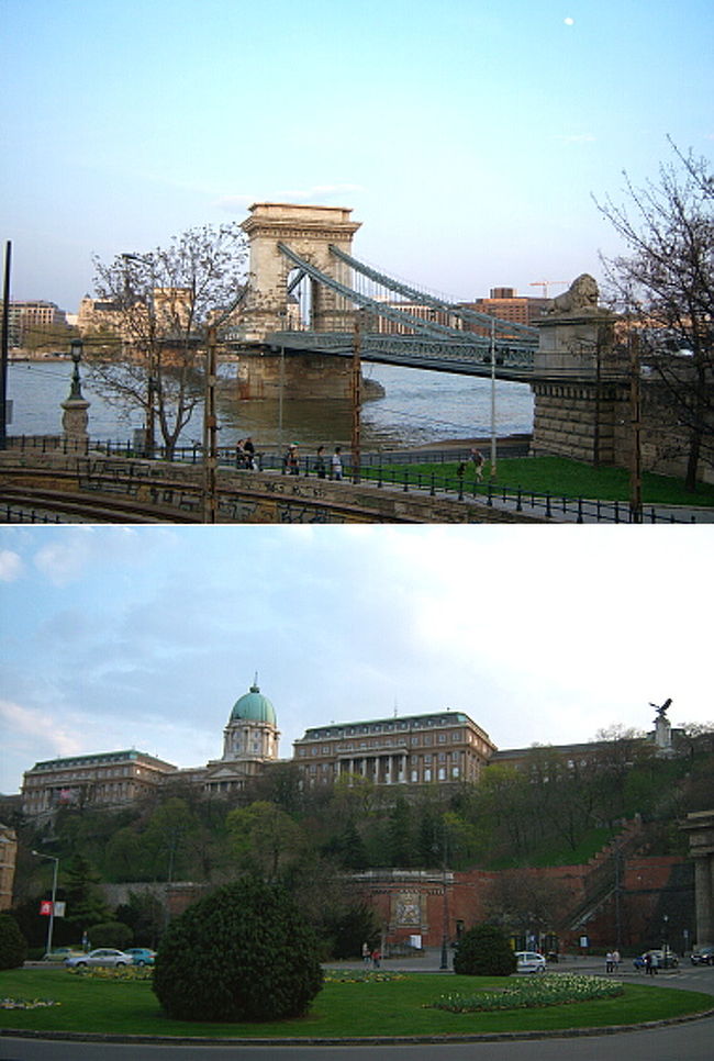 空腹と喉の渇きが癒されたので、そこからドナウ川沿いにくさり橋まで歩くことにしました。 <br />ホント言うと足の疲れは取れてないのでバスを利用したかったんだけど、くさり橋→Batthyany Ter駅まではバスが通っているのに逆方向はない！ <br />それもこれも川沿いの道路が片面工事中で、車線が1車線しかなく、Batthyany Ter駅からの通行ができなくなっていたからです。 <br />なので歩くしかなく、重い足を引きずって、途中にある教会を覗きつつ歩き通しました。 <br /><br />写真はようやく着いたくさり橋と、そこから見上げた王宮の丘。 <br />丘まではバスでも行けますが、ケーブルカーもあります。 <br />…そんなところを徒歩で……＿|￣|○ <br />決して登れないことはないんですよ、頑張って20分くらいで着くんですから。 <br />しかし1日券も買ってるし、できれば公共交通機関で行きたかった…