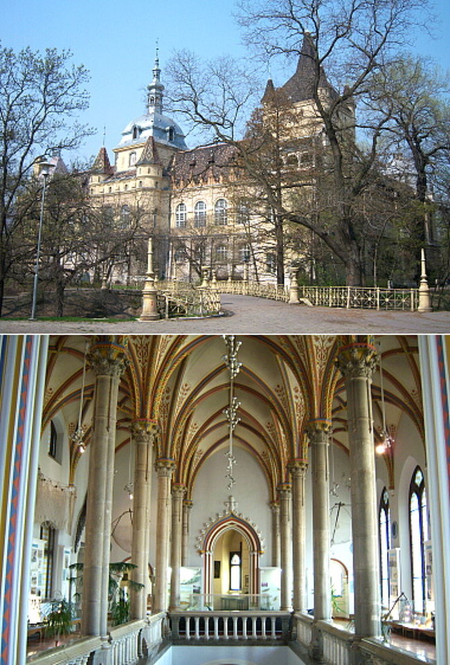 このシナゴーグ前から74番のトラムが出ているので乗りこんでヴァイダフニャド城へ！ <br />ただし74番に乗るとお城の周りを取り囲んでいる広大なパーク側を回って走るので、歩く距離が短くなりそうな場所を見極め、適当なところで下車。 <br />どこまでも広がる芝生と新緑の季節に向けて青い葉をぐんぐん伸ばしている木々の並木道を抜けると、お城発見。<br /><br />（上）静かな佇まいのお城。壁にはツタが絡まっていたりして、おとぎ話のお城みたい。 <br />（下）中の一部。柱と天井装飾がすごい。部屋毎にこの模様が違うので上ばかり見て歩いてしまいました。<br /><br />写真で載せた側は裏側だったので、正面まで回り込むと大量の小学生が。 <br />遠足？なんかよくわからないけどみんなきゃあきゃあ言いながら入口へ吸い込まれていきます。 <br />来るタイミングを誤った……。騒がれるとゆっくり見られないぞ。 <br />どうしようかなぁと思いつつ入口を覗くと、お城というより博物館みたい。 <br />アレ？ここ、お城だよな…？と思い、チケット売りの人は忙しそうなので入口の側でアイスクリームを売っていた兄ちゃんに聞いてみました。 <br />そしたら確かにこれはお城だけど今は内部が博物館になっているとのこと。なるほど。 <br />前知識なしで来るといろいろわからないですね。 <br />時間もたっぷりあることだし、ここまで来たのでチケットを買って見学。850フォリント。 <br />チケット売り場付近にいる監視員やスタッフの人は英語が無理なんだけど、私が入場するとハンガリー語で何か言いながら左の方を指差し。 <br />頭に？マークを浮かべながら見てみるとクロークがあったので、荷物を預けろの意味なんだなと理解し、ロッカーへ。 <br />先ほどの小学生軍団のものと思しきリュックや持ち物が大量にかけてあり、「こんなカギもないただのフックみたいなところに吊るしておいて大丈夫なのだろうか…」と思っていたら、スタッフの人がつかつかとやって来て、「違う、こっち。」というようなジェスチャーをしてくれ、無事鍵付きのロッカーも見つかりました。 <br />言葉は全く通じないし、何を言われてるかもわかりませんが、こんなふうに意思疎通がちゃんと出来るんだからすごいですよねー。 <br />世の中ボディランゲージだけでかなりいける気がしてきます。