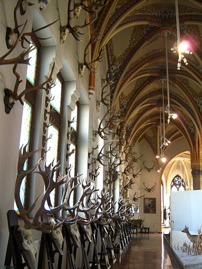 ウエストポーチ1つになって身軽になったので、さっそく中を歩いて回ります。 <br />どんな博物館なのかと思ってたら、動物の骨や剥製、畑を耕す機械が置いてあったりして自然史博物館風？<br /><br />帰ってきて調べたら、農業博物館だそうです。 <br />写真でも載せましたが鹿の角が壁一面に所狭しと掛けられている部屋があったり、モンゴルっぽい民族の住居が再現されていたり、若干退屈かもしれないけどざーっと流して見るくらいなら面白い博物館でした。 <br />当然、お城の建物の中の博物館なので、造りは写真に載せたように天井装飾も立派で、ホールみたいな場所も白でまとめられて良い感じです。 <br />家具などはないけれど、展示の他にお城自体も見学できるので、暇な人はここまで足を延ばしてみてもいいかも。 