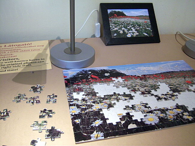 1階に下りたところにあるパズルコーナーでも、誰かがやりかけのパズルをちょっと埋めてのんびり。 <br />でもこれ絶対ピースが足りていないと思います。 <br />だって外枠を埋めるはずの、1辺がまっすぐなピースがあと1つ必要なのに、それがどこにも見当たらないんだから。