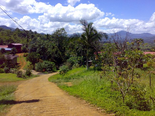 KKから車で2hのラナウの民家で咲いているらしい！<br />本当にラッキーだね〜って。<br />今日の夕方にはブルネイに旅立たねばならない私にはタクシーチャターしかなかった。<br /><br />RM300 (\7,500)<br /><br />一瞬ひるんだが、清水の覚悟で決定。<br />誕生日だし☆
