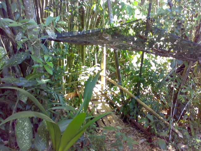 お宅の裏庭へ回ると、、、