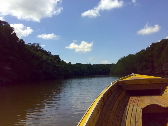まさに、ジャングルクルーズ！