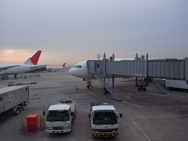 時間となったので、搭乗口に行き改札ゲートに搭乗券を入れたら「ピンポーン！」<br />んっ？<br />アップグレードかって、よう考えたら座席は一番最高になってるし、何かなと思いきや、、<br />「荷物をスルーで預かりましたが、できませんので成田で受け取ってください」と国内仕様の荷物半券を渡される・・・<br />やっぱ、アライアンスが違うと融通も利かないのね。<br />これで、重いカバン持ってターミナル移動です・・