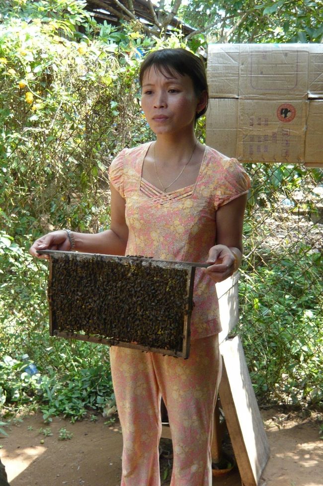 次は　蜂蜜のお店。　少し小さな蜂が飛び交い、　蜂蜜に金柑をしぼったお茶（香りが良い）をいただき。