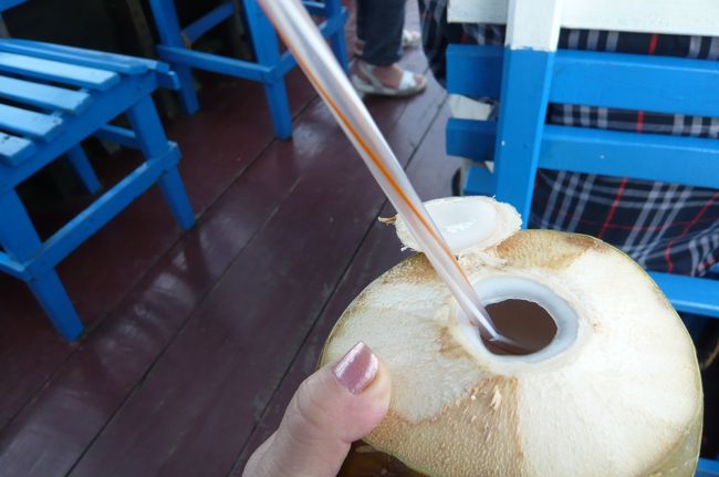 渡し舟に着くと、　ココナツジュースがいただけましが、　冷やすともっと美味しいのにねー