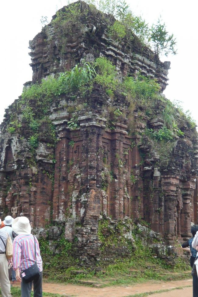うっそうと茂る木々の中　遺跡があちこちに。草や木に覆われたチャンパ王国の聖地。１９９９年　世界遺産に登録。