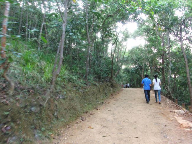 大体みんな、歩いて登る。<br /><br />登りは、<br /><br />ちらほら人がいる感じですが、<br /><br />降りてくる時は、<br /><br />結構な人です。