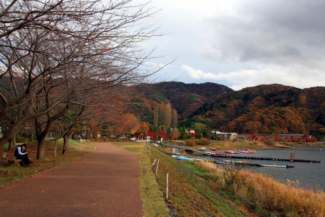 河口湖畔は、すっかり葉っぱが落ちてしまっていました。