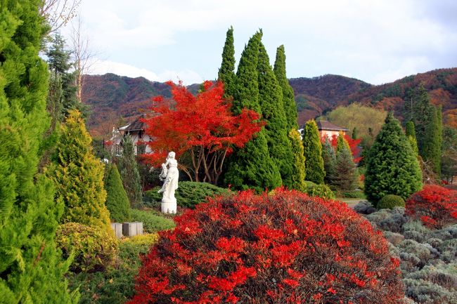 河口湖オルゴールの森付近は、こんな感じでした。