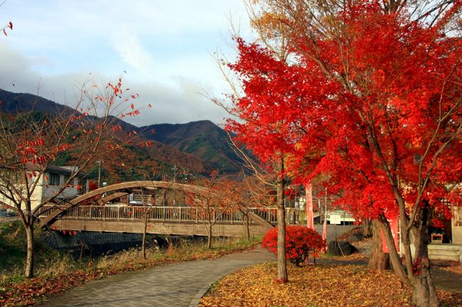 モミジ回廊を見に行くため、歩いてきた道を戻りました。